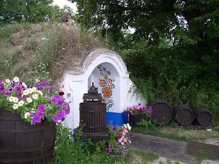 Vacation Home Pani Haje Moravany  Exterior photo