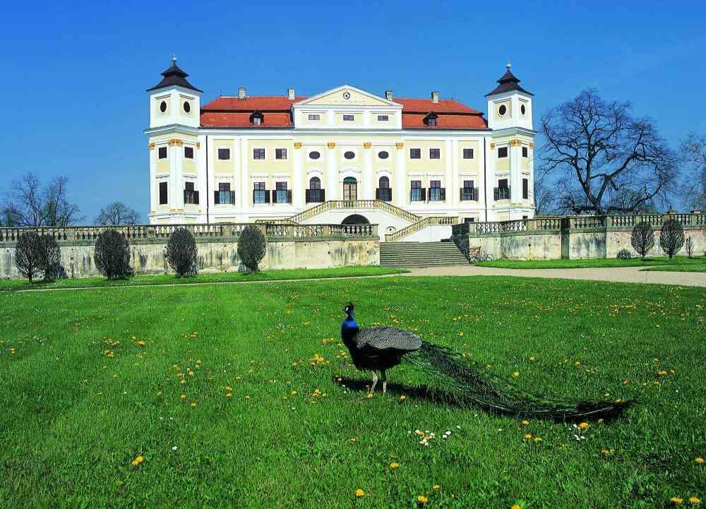 Vacation Pani Haje Moravany (Hodonin)