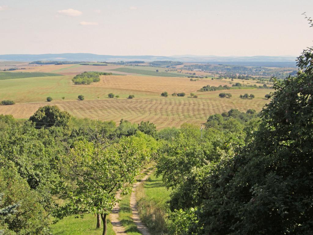 Vacation Pani Haje